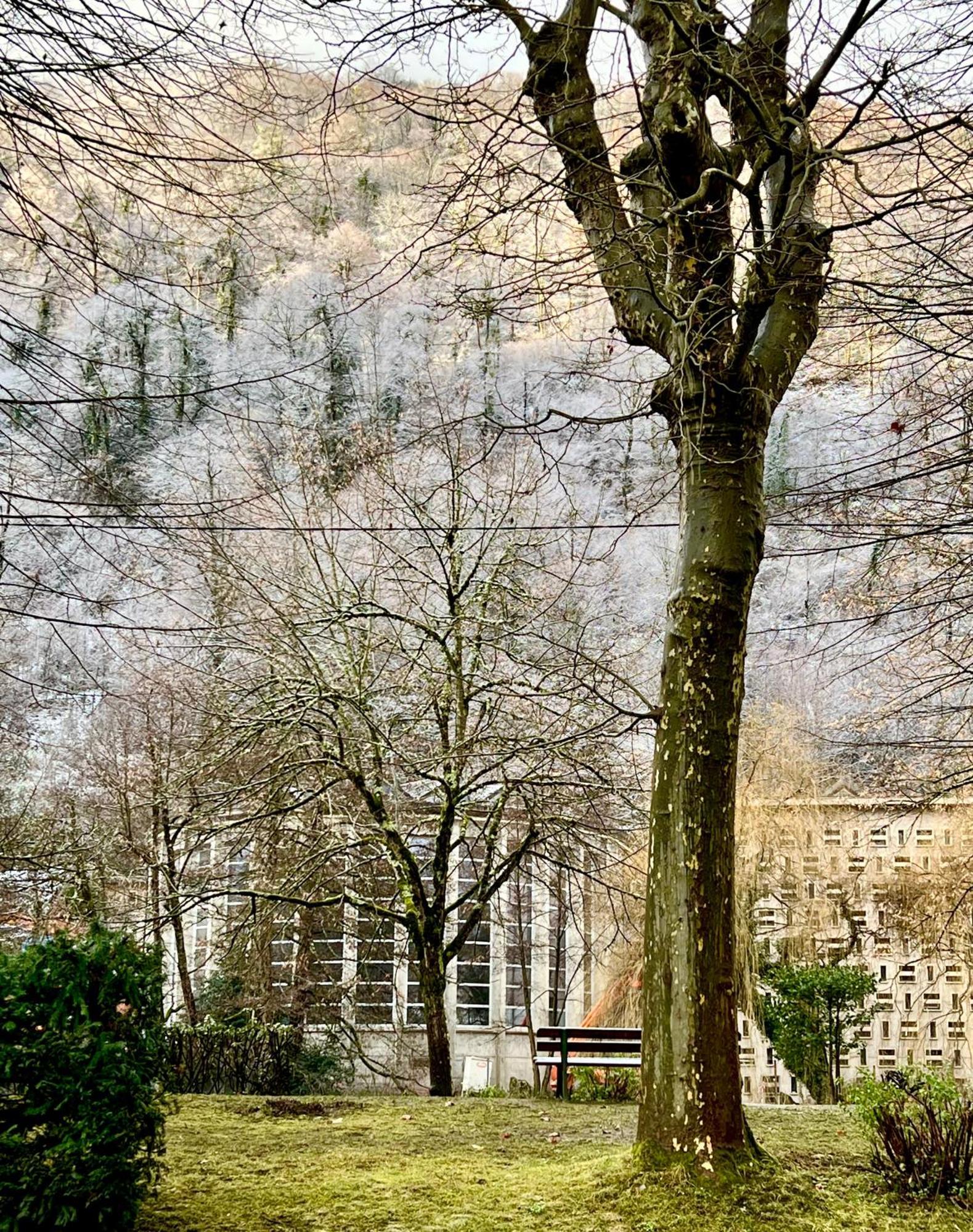 Fantastic Ground Floor Apartment Opposite Thermes Bagneres-de-Luchon Ngoại thất bức ảnh